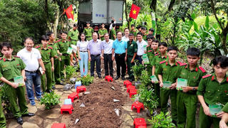 Hơn 10.000 cây xanh 'vì biển đảo Tổ quốc' gửi tặng Trường Sa