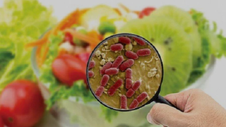 TP Hồ Chí Minh phối hợp OUCRU giải trình tự gen vụ ngộ độc bánh mì