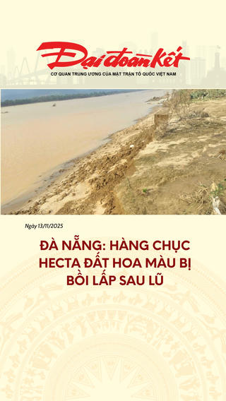 Đà Nẵng: Hàng chục hecta đất hoa màu bị bồi lấp sau lũ 