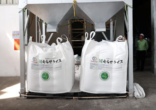 Hướng đi mới của gạo Việt