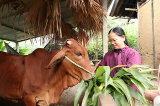 Sở Dân tộc và Tôn giáo Thái Nguyên: Xây dựng nền tảng phát triển bền vững cho vùng đồng bào dân tộc thiểu số