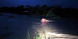 Gia Lai: Dùng súng bắn dây chuyên dụng giải cứu 2 người dân mắc kẹt giữa vùng ngập sâu