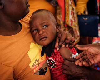 WHO sẽ mất gần 1/4 nhân lực do Mỹ cắt giảm tài trợ