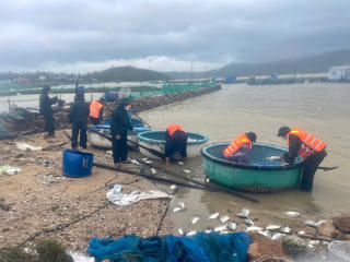 Bộ đội Biên phòng Đắk Lắk khẩn trương giúp dân khắc phục hậu quả mưa lũ