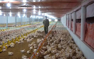 Vươn lên từ “vũng lõm” thông tin 