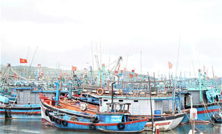 Gia Lai: Chủ động ứng phó với bão số 15