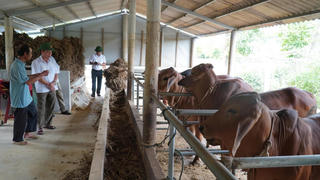 Đa dạng kênh thông tin để giảm nghèo hiệu quả