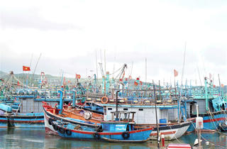 Gia Lai: Hơn 5.700 tàu cá đã vào trú tránh bão số 15 an toàn