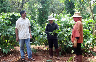 Đắk Lắk: Kết quả ấn tượng giảm nghèo từ Chương trình Mục tiêu quốc gia 1719