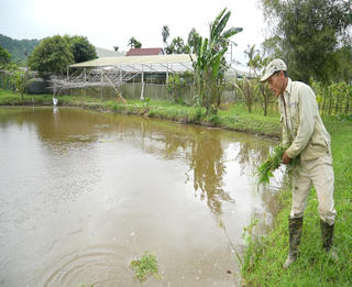 Phát huy vai trò của già làng trong phát triển kinh tế hộ gia đình