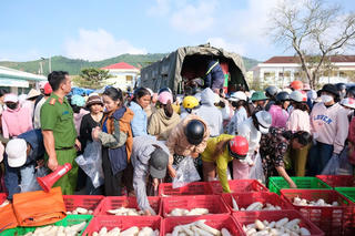 Lâm Đồng: Gần 34 tấn rau củ quả ủng hộ cho người dân vùng lũ Khánh Hòa