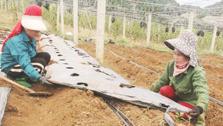 Thay đổi nếp nghĩ, cách làm qua Chương trình Mục tiêu quốc gia 1719 