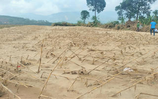 Đà Nẵng: Lập phương án thu gom ước khoảng 557.000m3 cát bồi lấp sau lũ