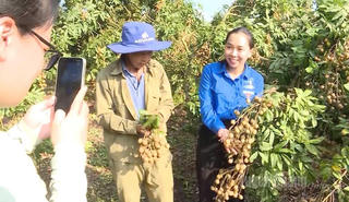 Người truyền lửa từ vườn nhãn An Tường