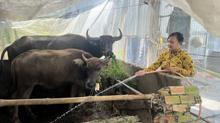 Cà Mau đầu tư hơn 579 tỷ đồng hỗ trợ sinh kế cho người yếu thế 