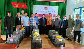 Đà Nẵng: Hỗ trợ nông dân nuôi dúi thâm canh, mở hướng làm kinh tế mới