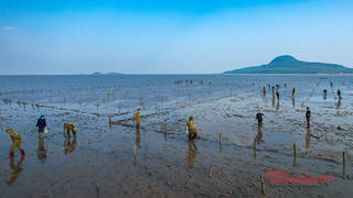 Công an Quảng Ninh vào cuộc xử lý vi phạm trong nuôi trồng thủy sản