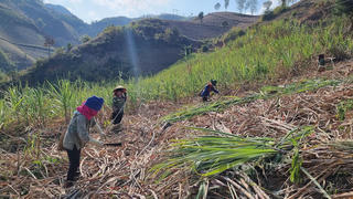 Khởi sắc từ Chương trình Mục tiêu quốc gia 1719