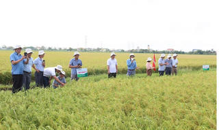 Bảo vệ môi trường, nền tảng của nông thôn mới hiện đại