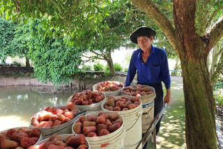 Giảm nghèo về thông tin: Nền tảng cho phát triển bền vững tại Cần Thơ