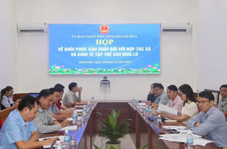 Khánh Hòa: Khôi phục sản xuất cho các hợp tác xã sau mưa lũ

