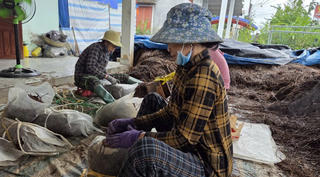 Cầu nối của giảm nghèo thông tin