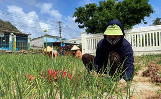 Giảm nghèo thông tin ở Đặc khu Lý Sơn