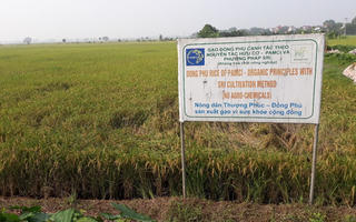 Hà Nội phát triển nông sản giá trị cao