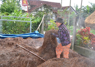 Infographics: Thoát nghèo bằng nghề trồng nấm rơm (Phần 1)