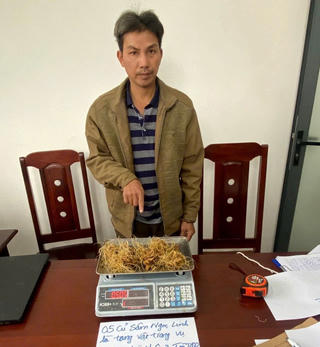 Đà Nẵng: Bắt khẩn cấp đối tượng trộm cắp Sâm Ngọc Linh 