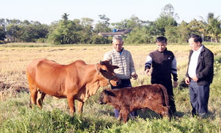 Bắc Ninh: Trang bị kỹ năng số để người dân thoát nghèo bền vững
