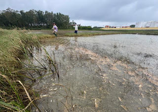 Quảng Ngãi: Xứ lý sự cố tràn dầu tại xã Vạn Tường