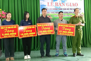 Trao bò giống sinh sản giúp hộ nghèo Cư Jút vươn lên ổn định cuộc sống