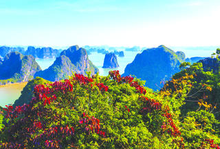 Hạ Long mùa lá đỏ