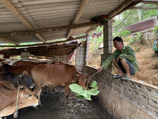 Thụy Hùng (Lạng Sơn): Lấy truyền thông làm đột phá trong giảm nghèo bền vững