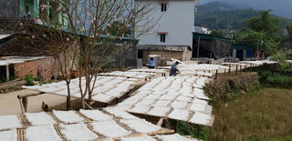 Xem người Sán Chỉ ở Bình Liêu làm miến dong