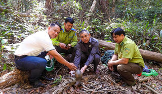 Gia Lai: Thả 6 cá thể động vật quý hiếm về môi trường tự nhiên