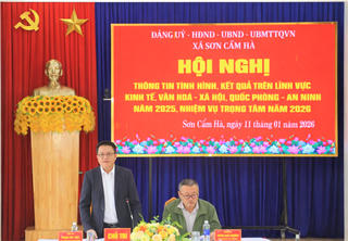 Đà Nẵng: Xã Sơn Cẩm Hà đạt nhiều kết quả trong phát triển kinh tế-nông nghiệp năm 2025