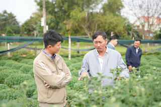 Đà Nẵng khảo sát khai thác du lịch nông nghiệp