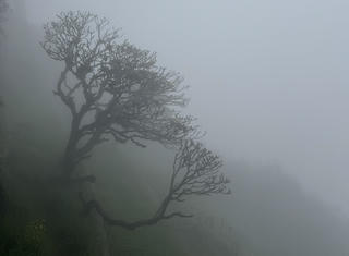 Miền Bắc sắp rét đậm, rét hại: Không dùng bếp than sưởi ấm trong phòng kín để tránh thiệt hại về người