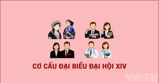 [Infographic] Cơ cấu, thành phần đại biểu dự Đại hội XIV của Đảng