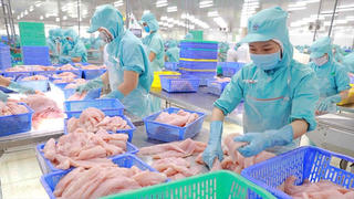 Bước nhảy vọt trong xuất khẩu thuỷ sản vào thị trường Singapore