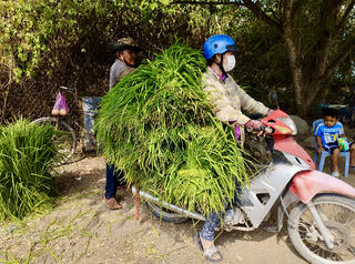 Chợ cỏ độc nhất miền Tây