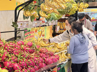 Đồng Tháp, Vĩnh Long tổ chức Tết Bính Ngọ năm 2026 vui tươi, an toàn, tiết kiệm