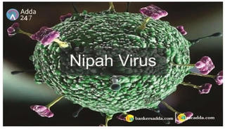 Phòng tránh virus Nipah như thế nào?