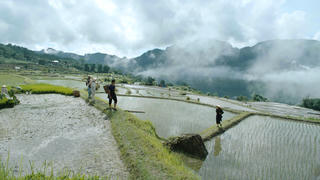 Phim truyền hình không ngừng làm mới