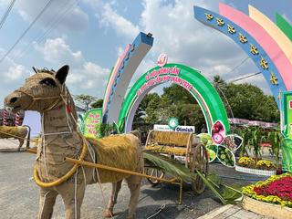 Đồng Tháp: 30 đơn vị tham gia Lễ hội Nông sản Phú Hựu lần thứ I năm 2026