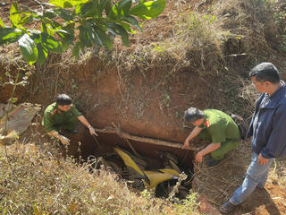 Gia Lai: Kêu gọi các cơ sở kinh doanh gỗ cung cấp manh mối vụ cướp ngân hàng
