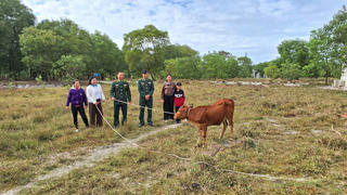 Quảng Trị: Bộ đội Biên phòng hỗ trợ phụ nữ vùng biên phát triển kinh tế