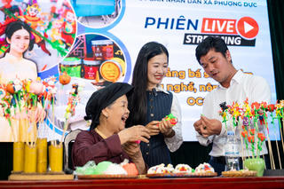Phượng Dực (Hà Nội), phấn đấu doanh thu từ hoạt động thương mại điện tử đạt 1.000 tỷ đồng